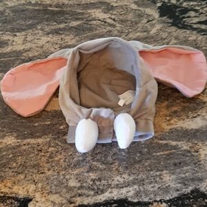 Custom for an elephant head with tusks